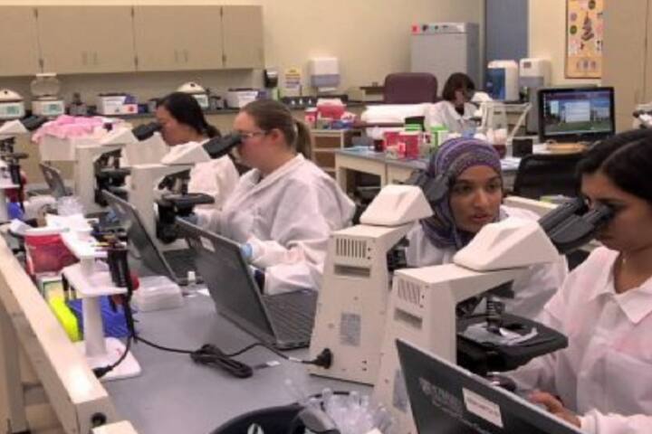 laboratory